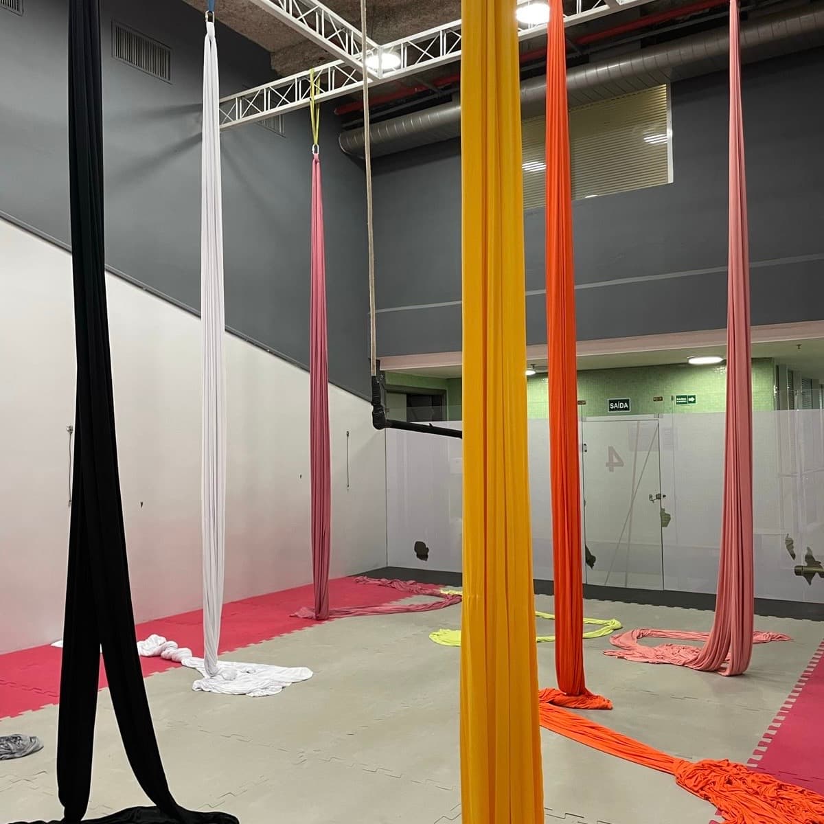 Thaís Holiveira Studio de Dança e Aéreos - Colinas