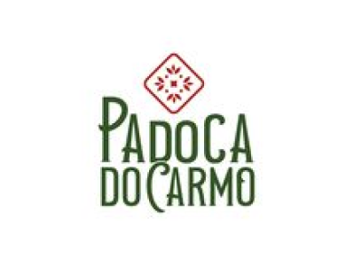 logo todo salvador prime 3